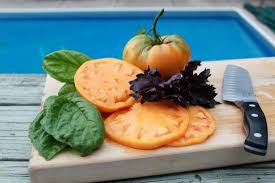 Afbeeldingsresultaat voor amana orange beefsteak tomato