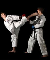Image result for Loughton Wado-Kai Karate Club