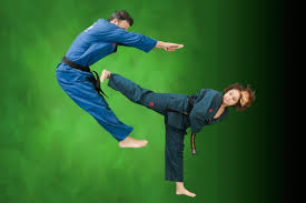 Image result for Reading Wtf Taekwondo
