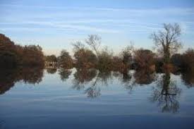 Image result for Plough Angling Society