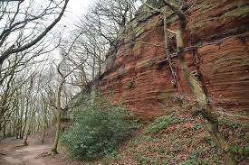 Image result for Frodsham Cc