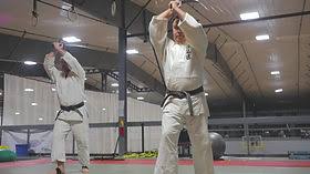 Image result for Goryukai Aikido Yoshinkan (Chichester)