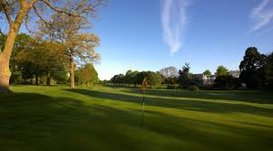 Image result for East Flegg Riding Club