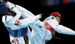 Image result for Absolute tae kwon do association