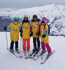 Image result for Inglis Netball Club