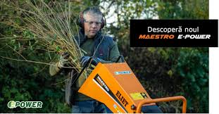 Image result for eliet tehron