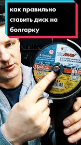 Картинки по запросу белку зажевало в диск