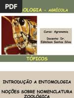 Attēlu rezultāti vaicājumam “Tettigoniodea exuvia”