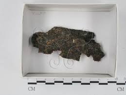 Attēlu rezultāti vaicājumam “Cribraria violacea”