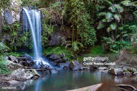 「Mt. Tamborine」的圖片搜尋結果