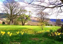 Image result for Mountain Ash Golf Club