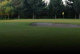 Image result for Goole Gc