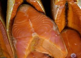 Image result for Oncorhynchus kisutch