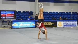 Image result for Abbey Gymnastics Club