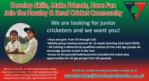 Image result for Horsley & Send Cricket Club