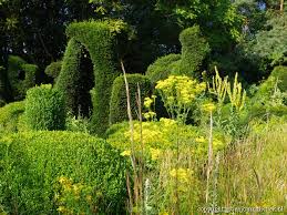 Image result for Priona Tuinen