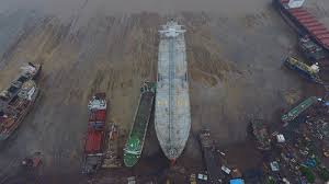 Image result for alang