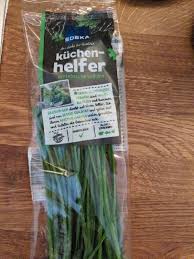 Image result for Schnittlauch