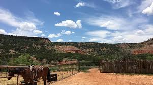 Image result for Old Park Riding Stables