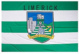 Image result for University Of Limerick Gaa Hurling Club