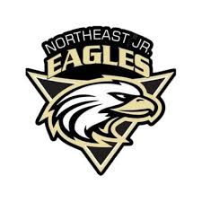 Image result for Junior Eagles Fc