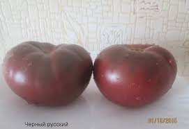 Afbeeldingsresultaat voor black elephant tomato