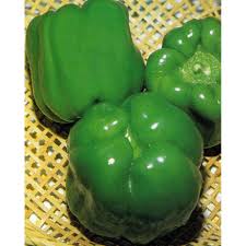 Afbeeldingsresultaat voor yolo wonder sweet pepper