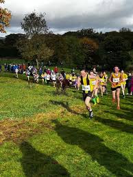 Image result for Calderglen Harriers