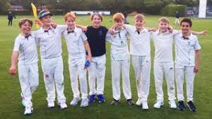 Image result for Yoxford Cricket Club