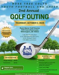 Image result for Manor Colts Youth Football Club