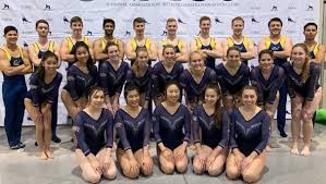 Image result for Custom Gymnastics Club