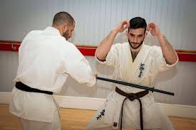 Image result for Kyokushin Karate