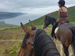 Image result for Porlock Vale Riding School