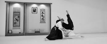 Image result for Southport Muto Aikido Club