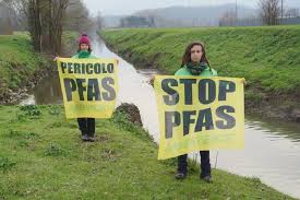 Risultati immagini per privazione della pheega