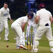 Image result for Portland Red Triangle Cricket Club