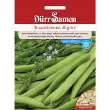 Image result for Buschbohnen