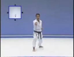 Image result for Caversham Karate Club SSKA