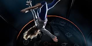 Image result for Dimensions Trampoline Club