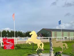 Image result for Scottish Equi Complex