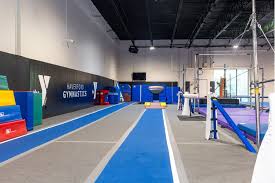 Image result for Haverfordwest Gymnastics Club
