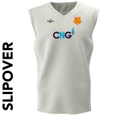 Image result for Bilton Cricket Club