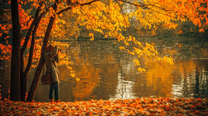Bildergebnis für Fall…