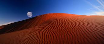 Image result for love windows xp wallpaper