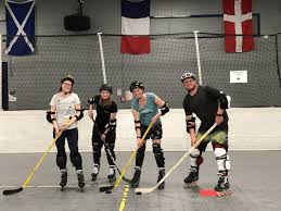 Image result for Vipers Roller Hockey Team