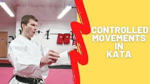 Image result for Katakuri Karate