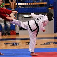 Image result for Taekwondo Witney