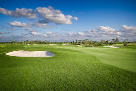 Image result for Feltwell Golf Club