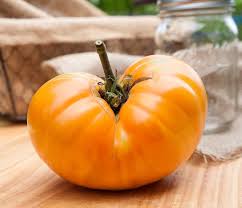 Afbeeldingsresultaat voor amana orange beefsteak tomato