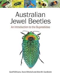 Attēlu rezultāti vaicājumam “Buprestidae”